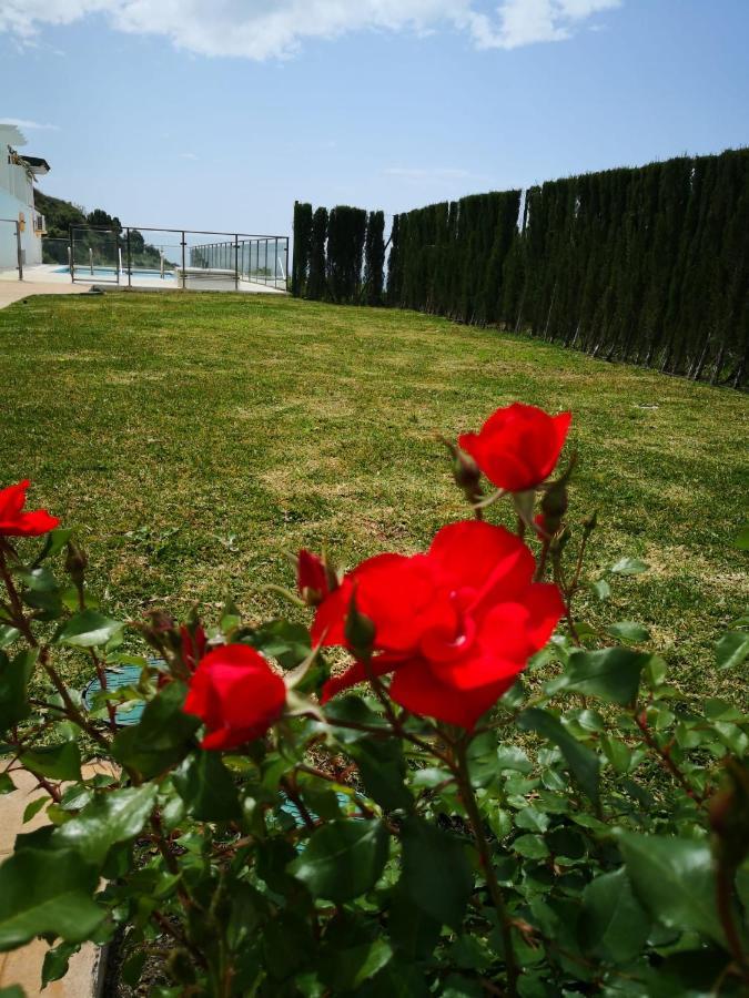 Dana II Eurogolf, Vistas, Wifi, Piscina Y Parking Apartment Benalmadena Bagian luar foto